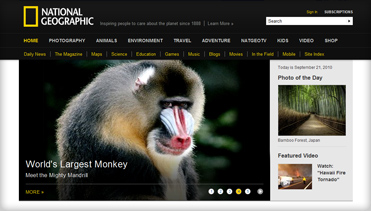 高速版快捷的ddos在线攻击测试网站